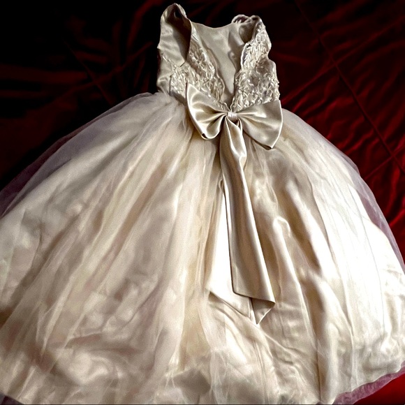 Champagne dress - Picture 2 of 3